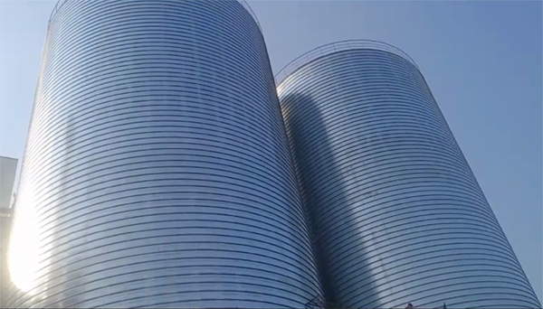 杭锦2座混凝土高架卷板仓